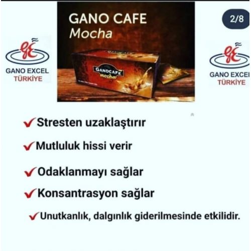 Gano Cafe mocha 8incikita